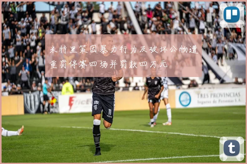 米特里策因暴力行为及破坏公物遭重罚停赛四场并罚款四万元